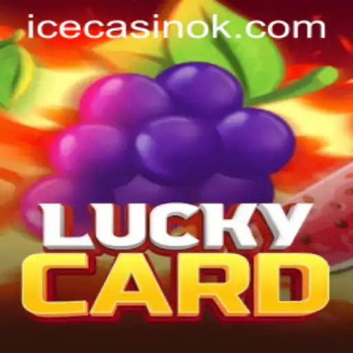 LuckyCard: The Ultimate Guide to Mastering the Game with 1555bet